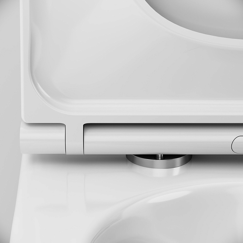 Унитаз напольный AM.PM Func C8F8900SC безободковый с сиденьем микролифт, белый