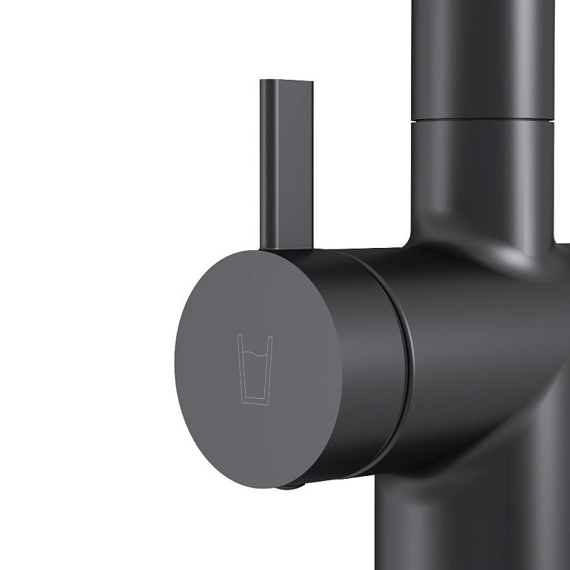 Смеситель для кухни AM.PM Func F8F07722 высокий с C-изливом с каналом для питьевой воды, черный