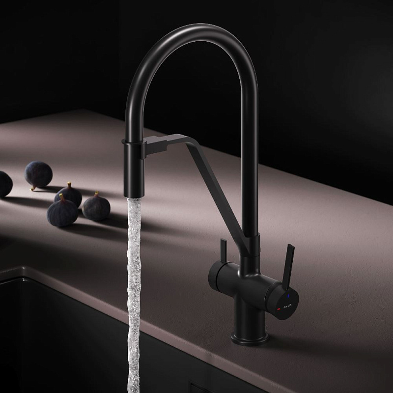 Смеситель для кухни AM.PM Func F8F07822 высокий, черный с каналом для питьевой воды и гибким черным изливом