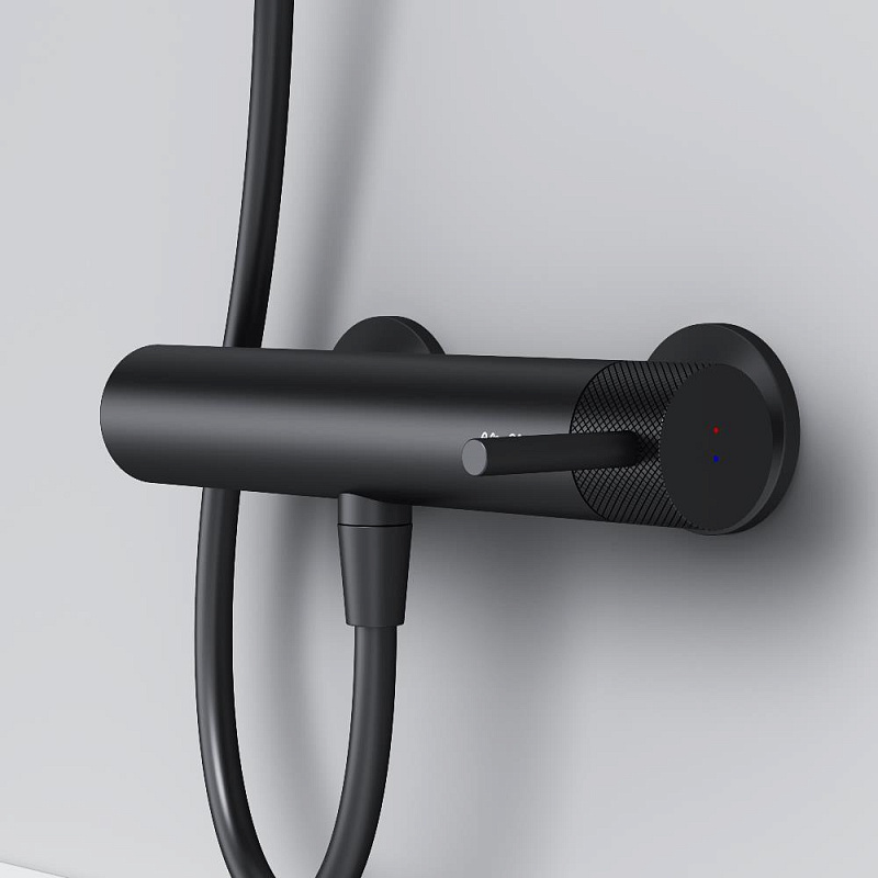 Смеситель для душа AM.PM Libre F6020022 черный