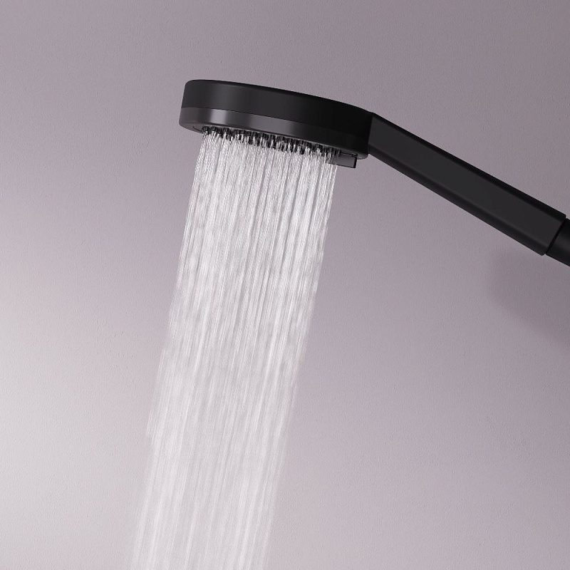 Лейка для душа AM.PM Above F029X022 черная