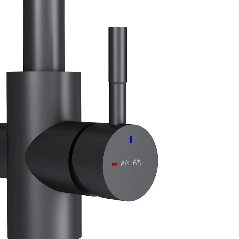 Смеситель для кухни AM.PM X-Joy S F85B05722 высокий, с каналом питьевой воды, черный