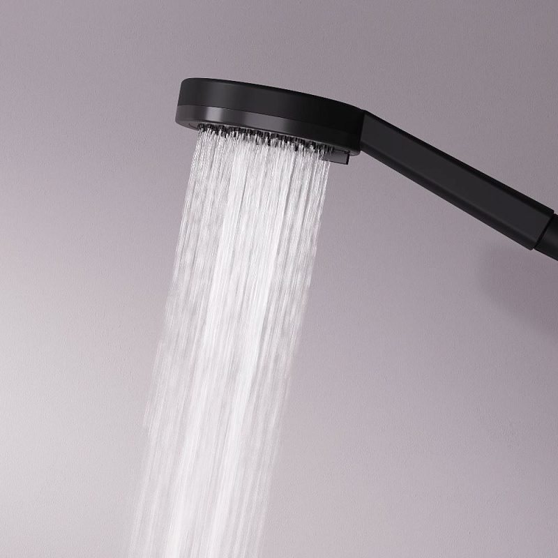 Лейка для душа AM.PM Above F029X022 черная